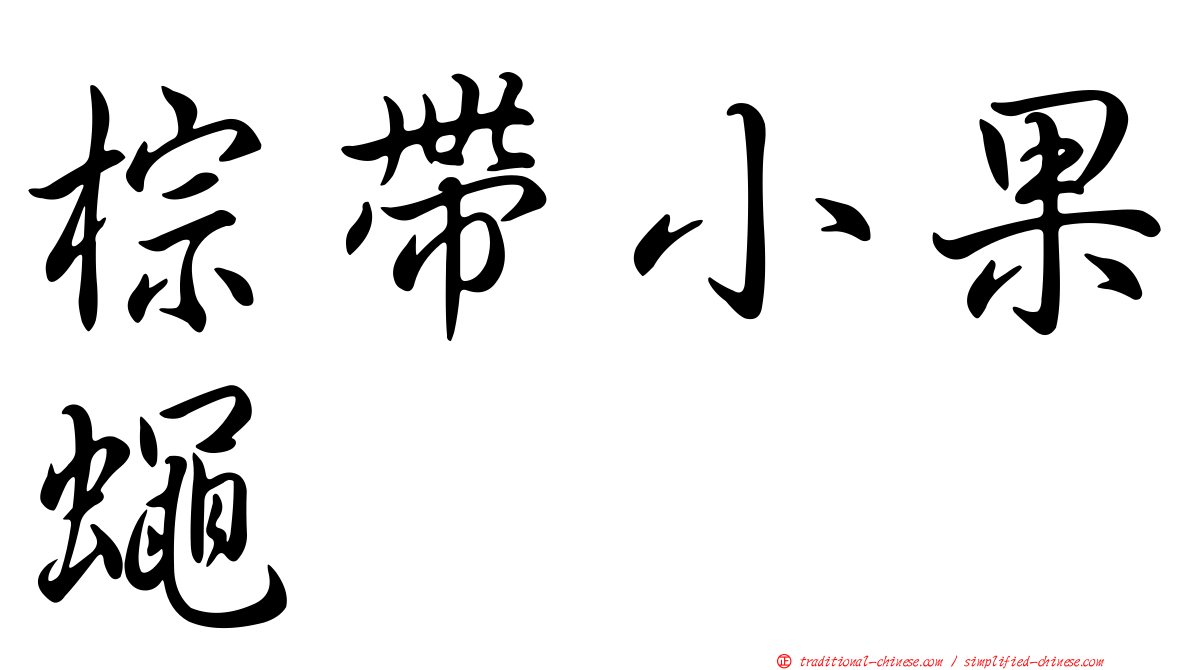 棕帶小果蠅