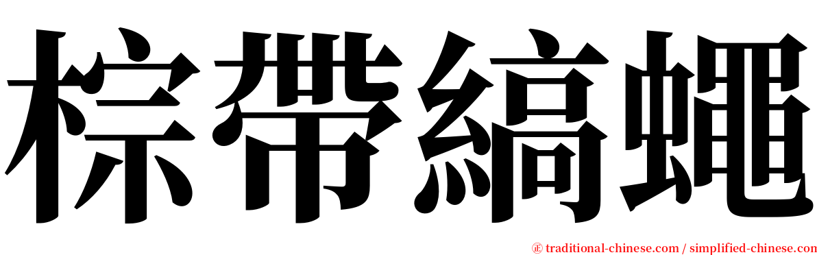棕帶縞蠅 serif font