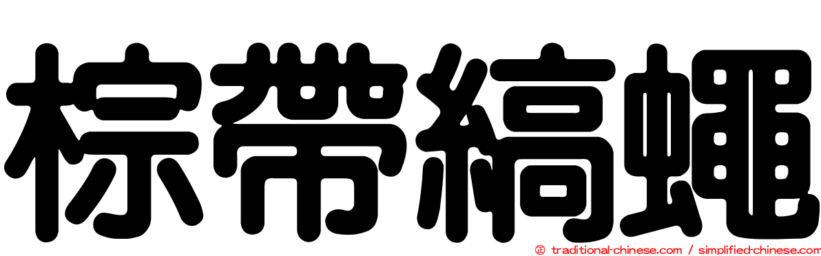 棕帶縞蠅