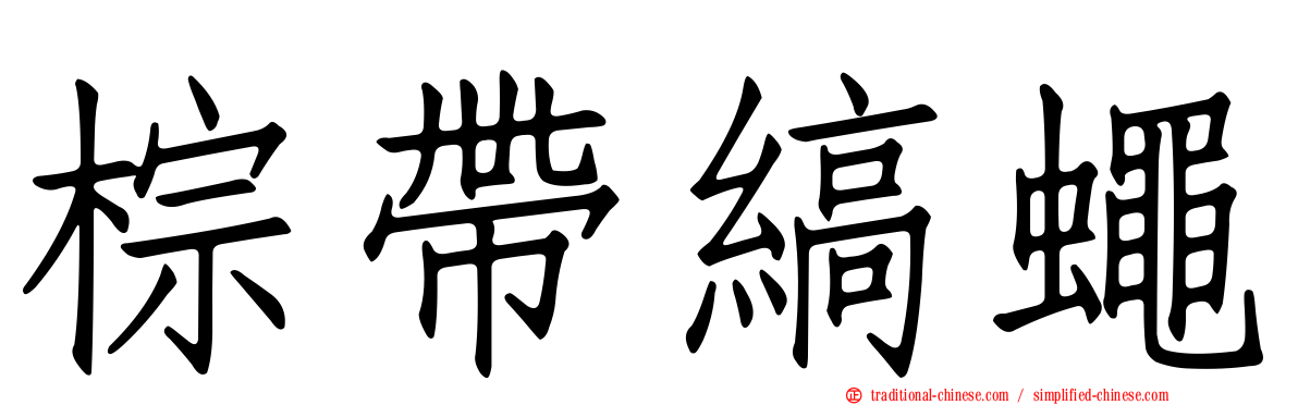棕帶縞蠅