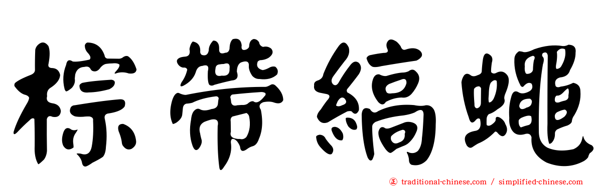 棕帶縞蠅