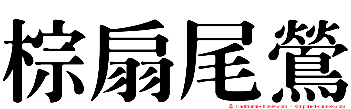 棕扇尾鶯