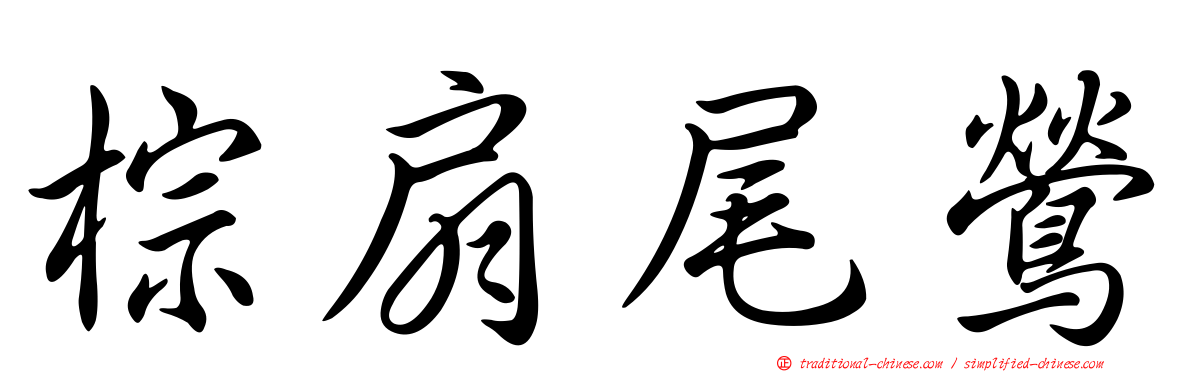 棕扇尾鶯