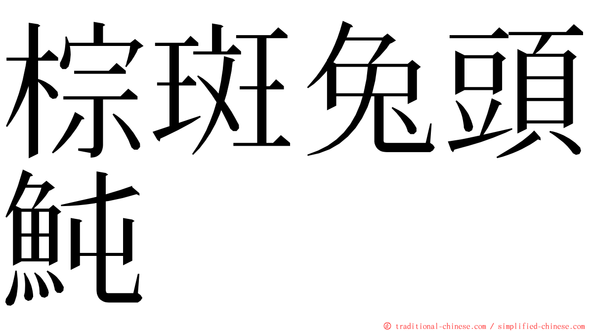 棕斑兔頭魨 ming font