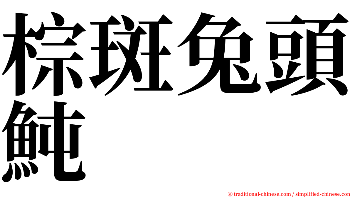 棕斑兔頭魨 serif font