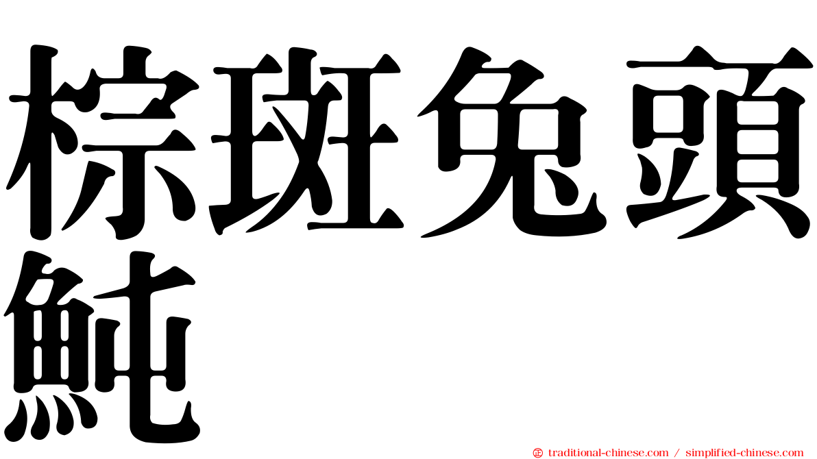 棕斑兔頭魨