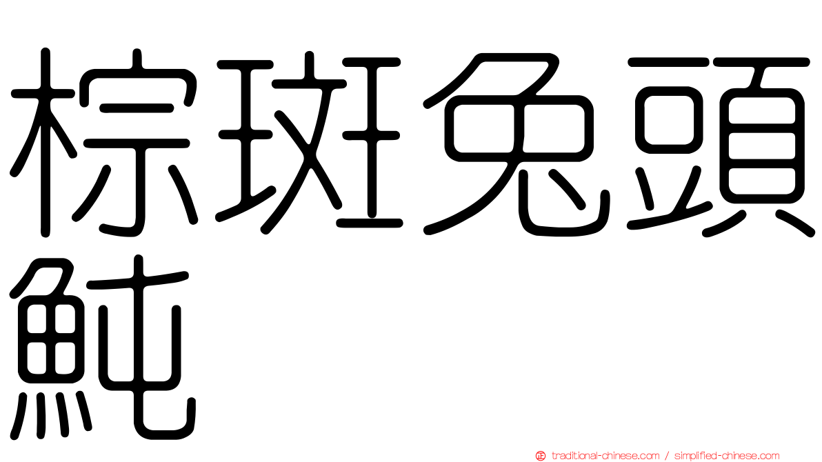 棕斑兔頭魨