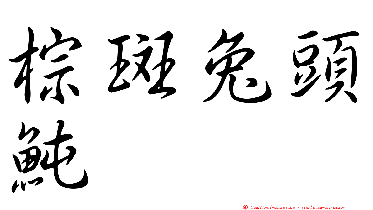 棕斑兔頭魨