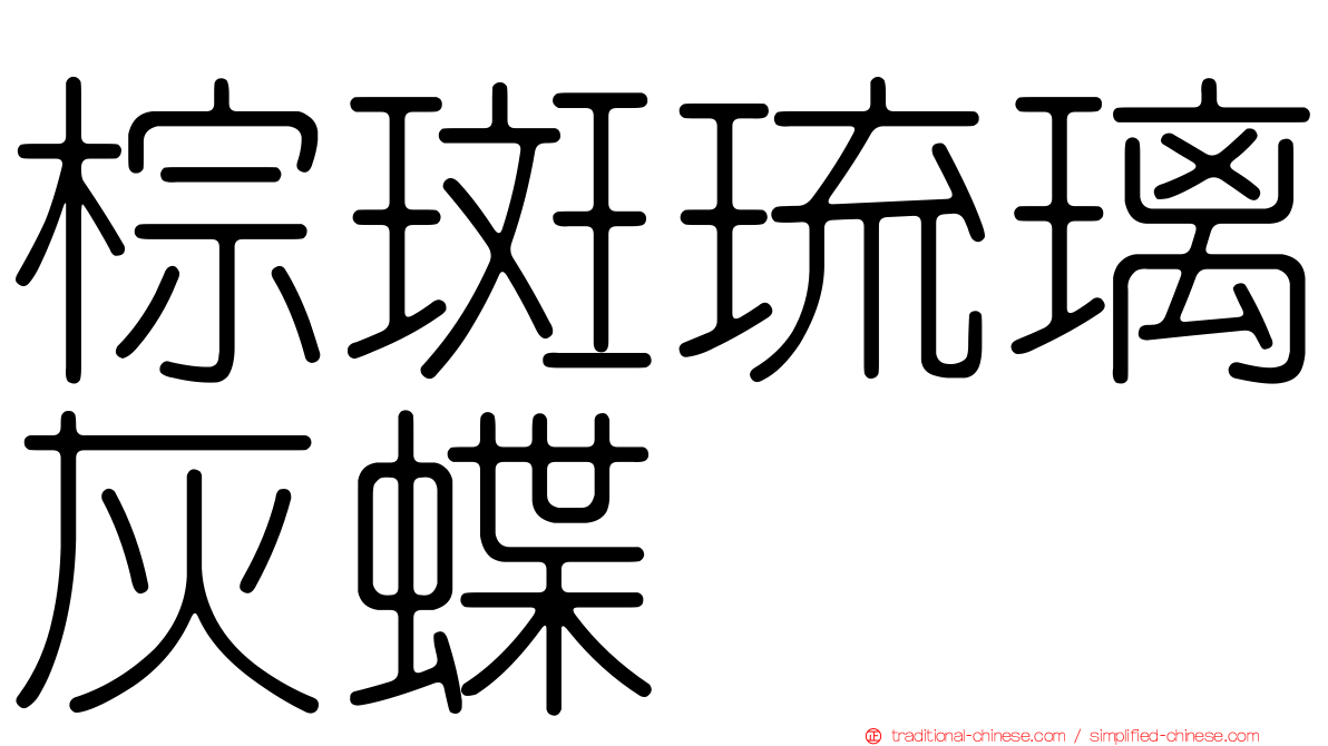 棕斑琉璃灰蝶