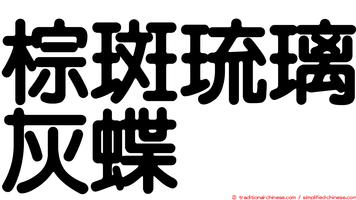 棕斑琉璃灰蝶