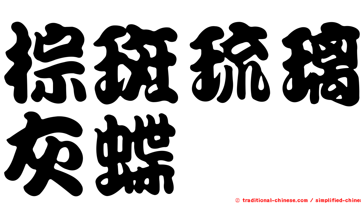 棕斑琉璃灰蝶