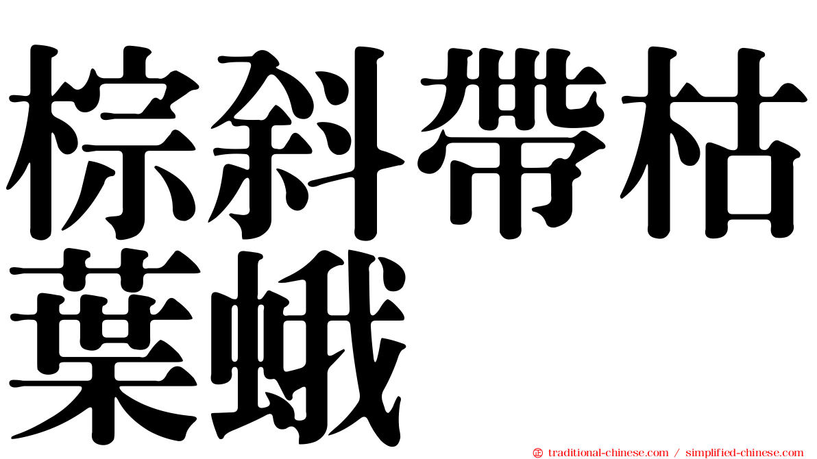 棕斜帶枯葉蛾