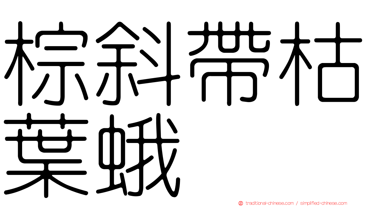 棕斜帶枯葉蛾