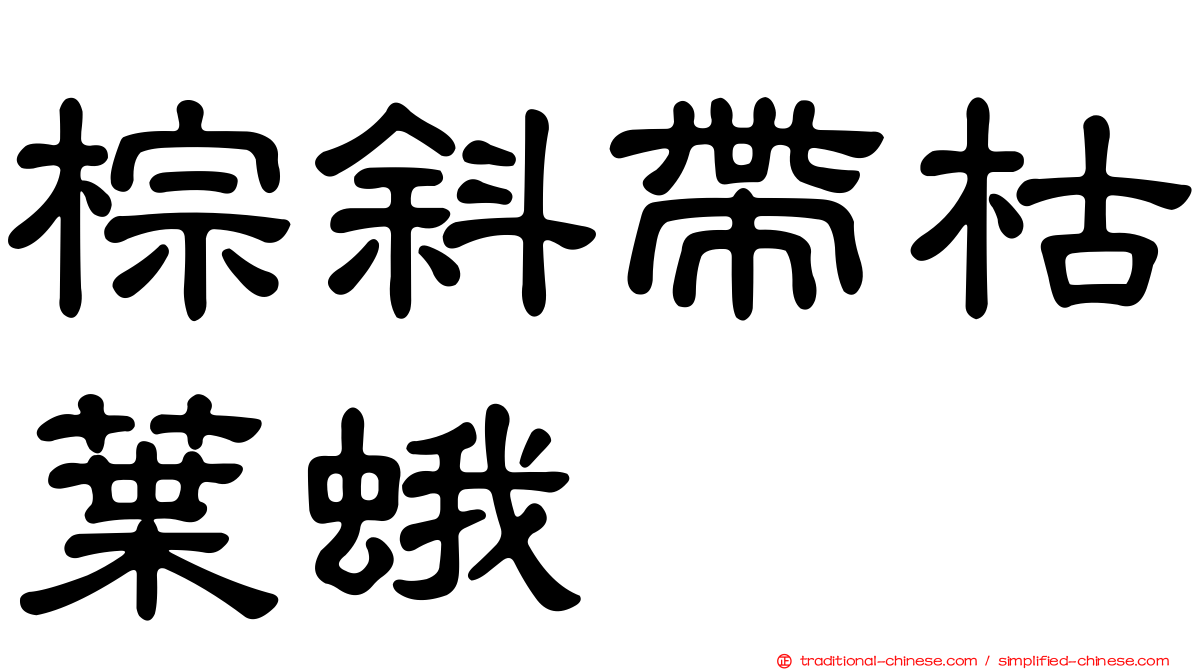 棕斜帶枯葉蛾
