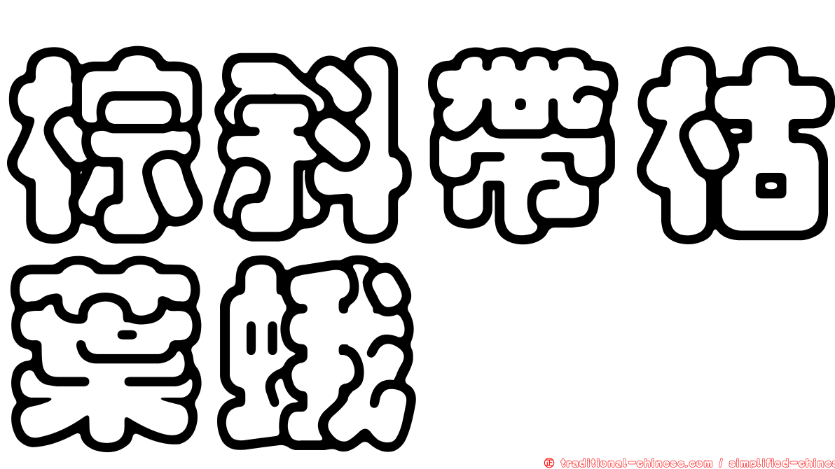 棕斜帶枯葉蛾