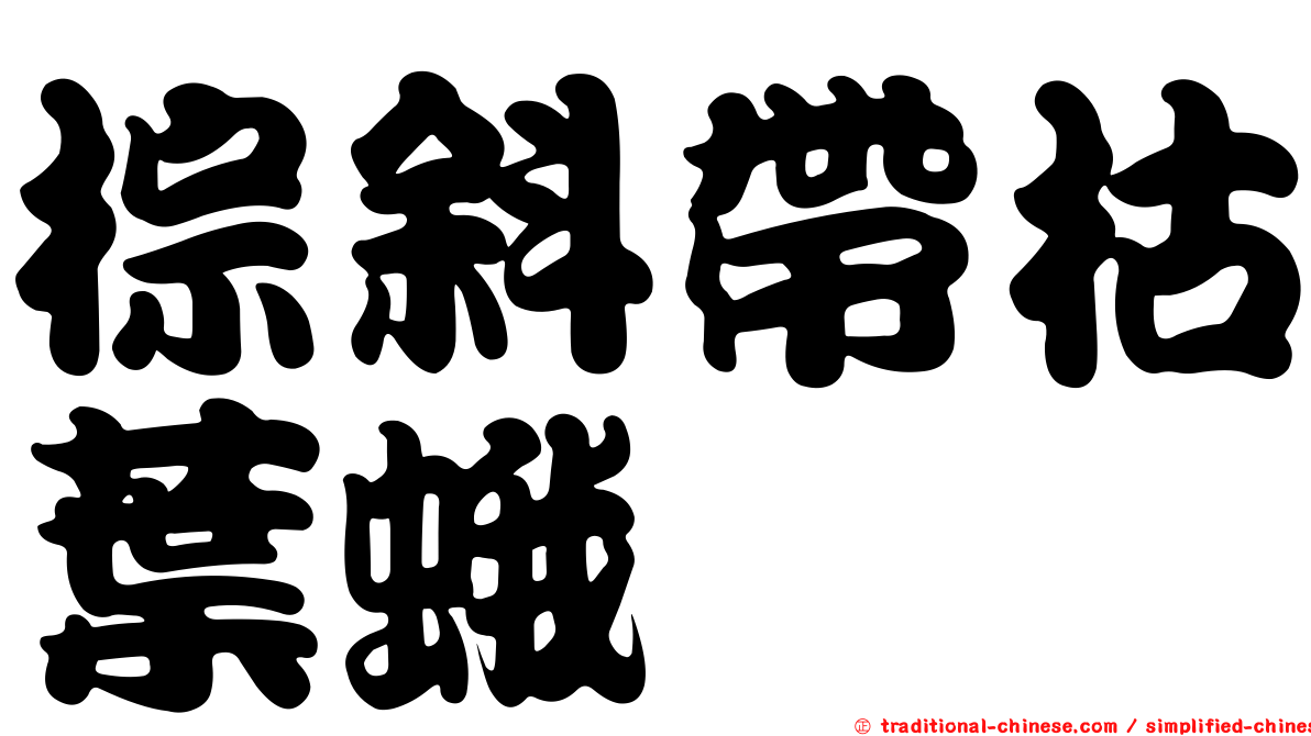 棕斜帶枯葉蛾