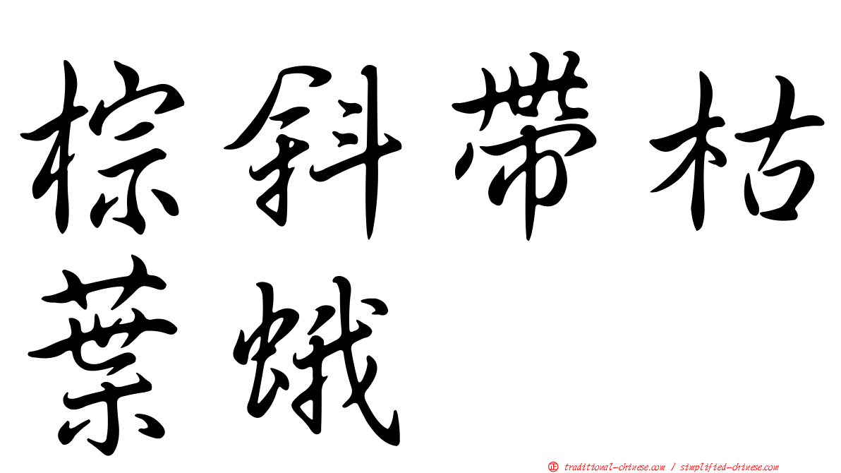 棕斜帶枯葉蛾