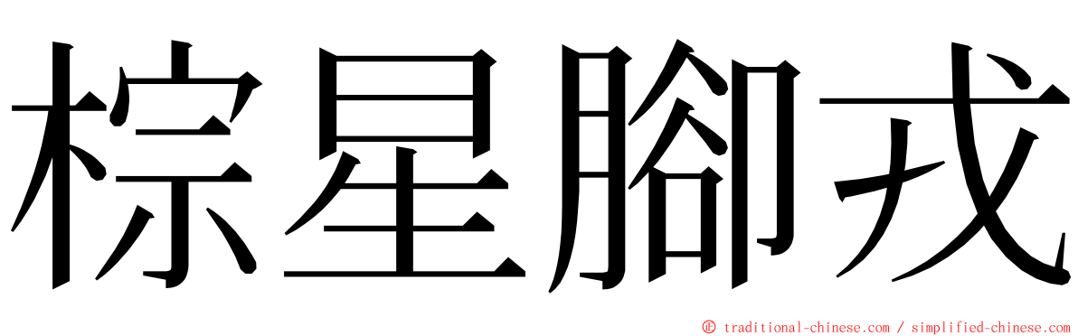 棕星腳戎 ming font