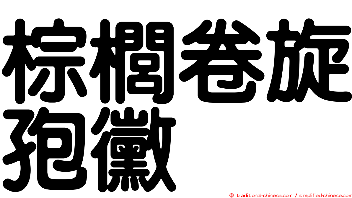 棕櫚卷旋孢黴