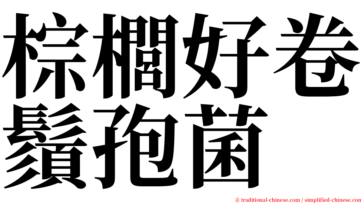 棕櫚好卷鬚孢菌 serif font