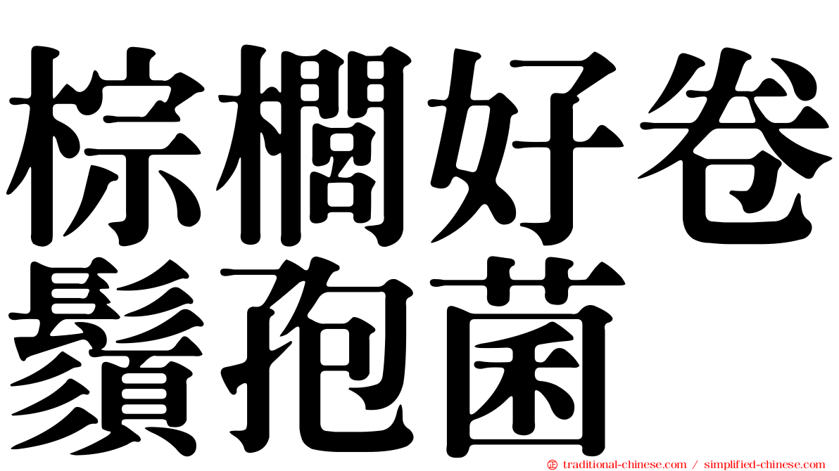 棕櫚好卷鬚孢菌