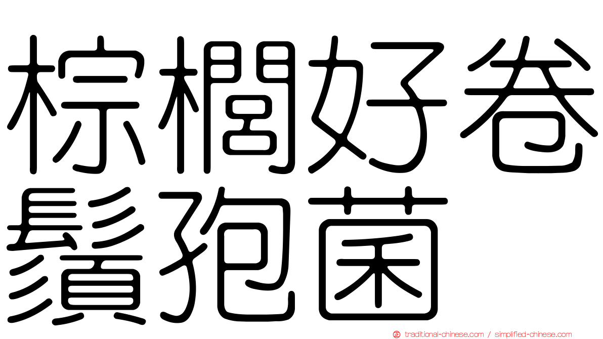 棕櫚好卷鬚孢菌