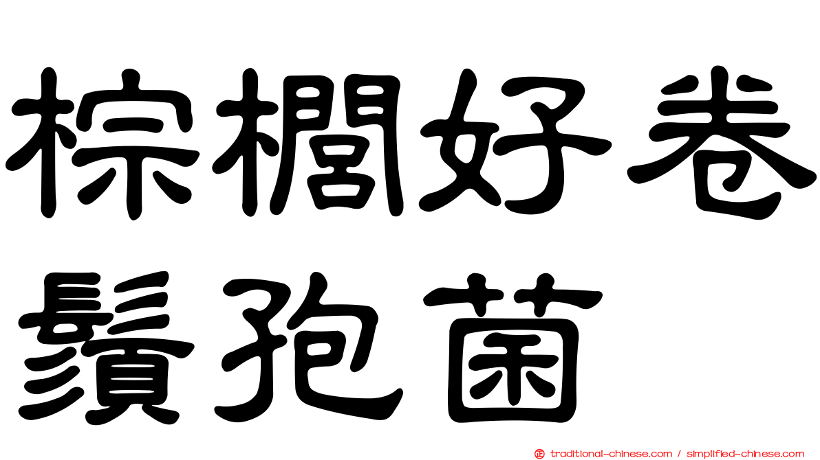 棕櫚好卷鬚孢菌