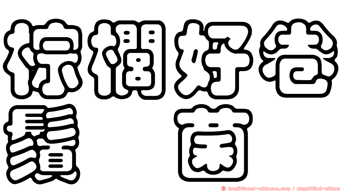 棕櫚好卷鬚孢菌