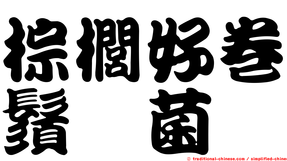 棕櫚好卷鬚孢菌
