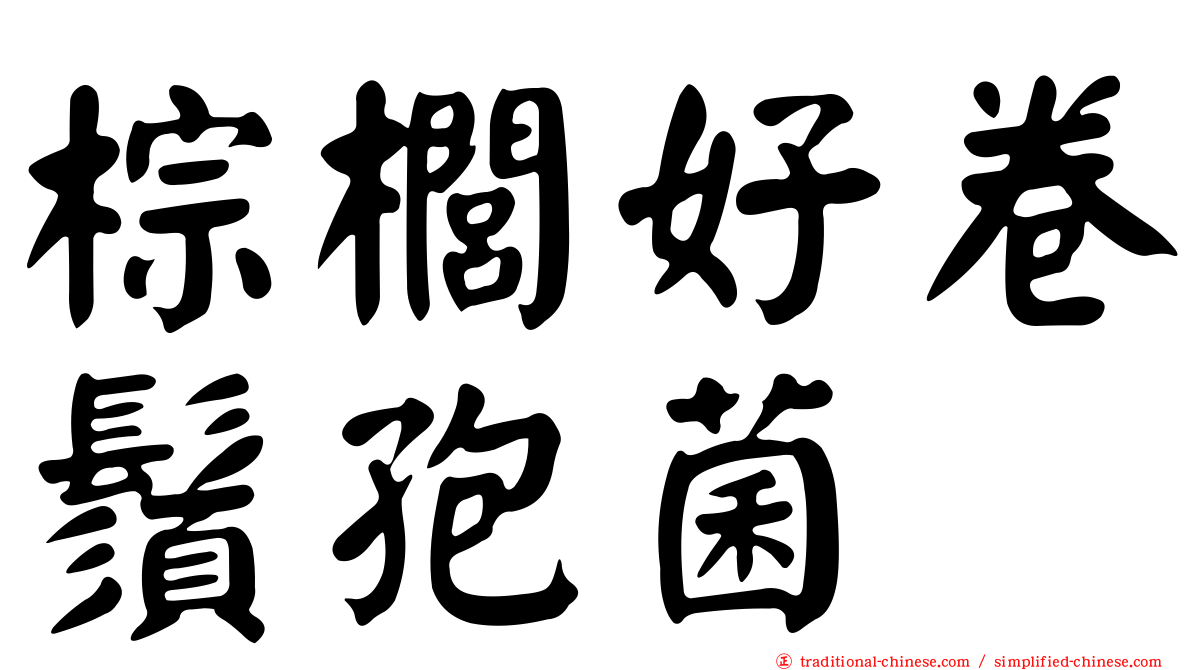 棕櫚好卷鬚孢菌