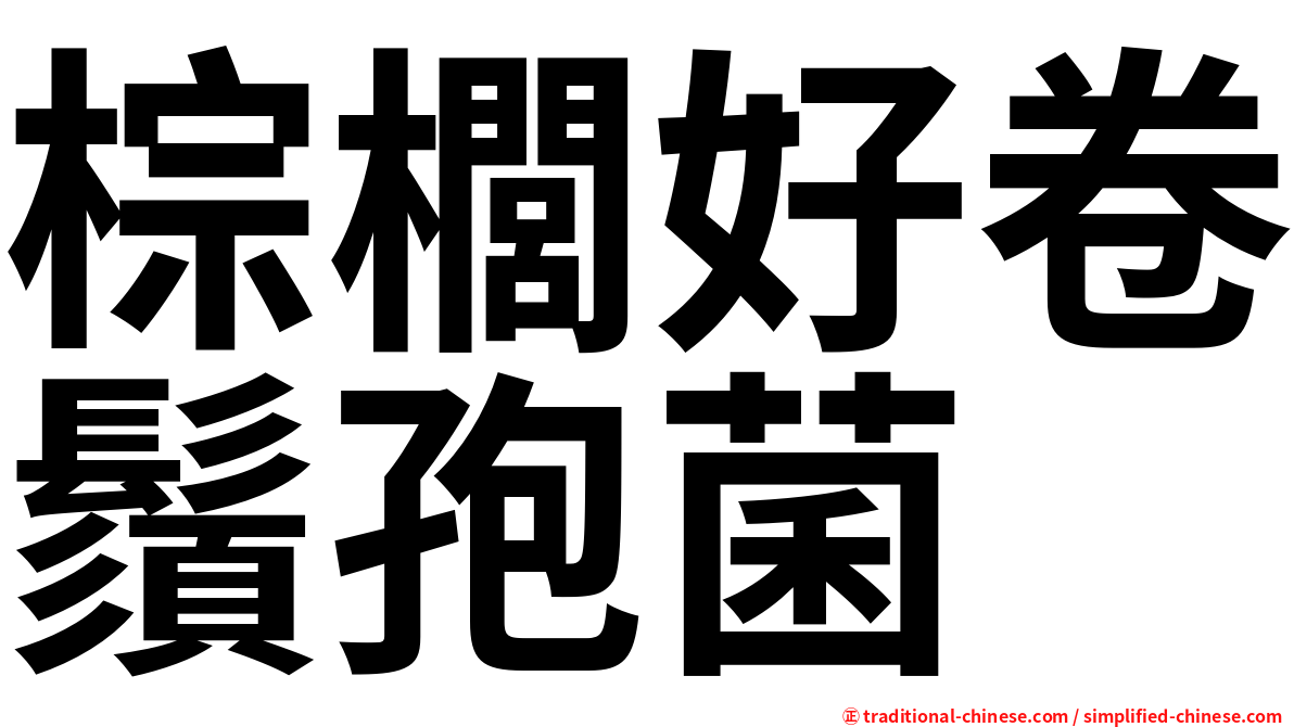棕櫚好卷鬚孢菌