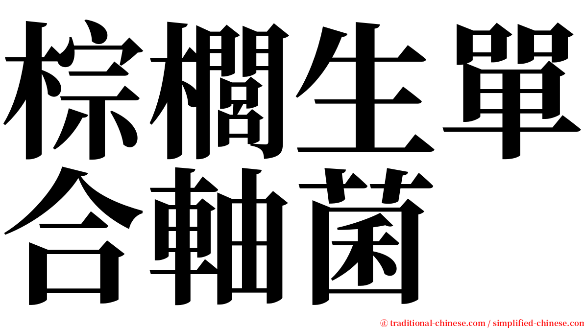棕櫚生單合軸菌 serif font