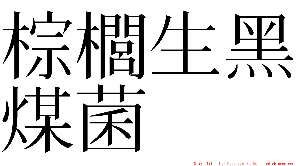 棕櫚生黑煤菌 ming font