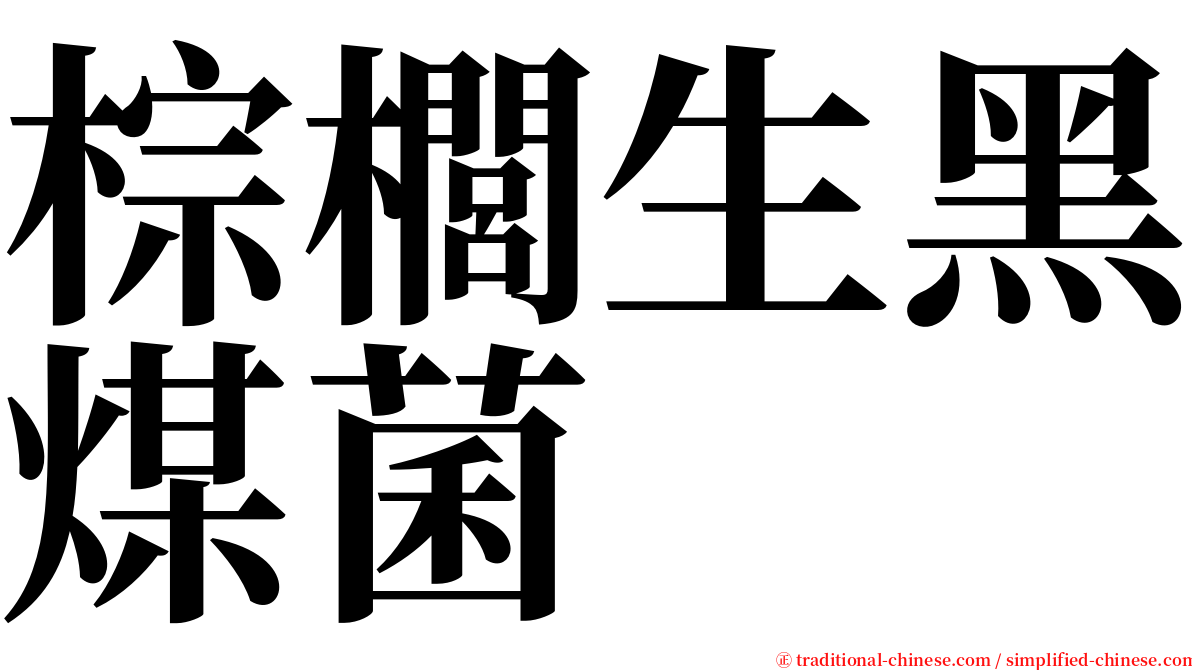 棕櫚生黑煤菌 serif font