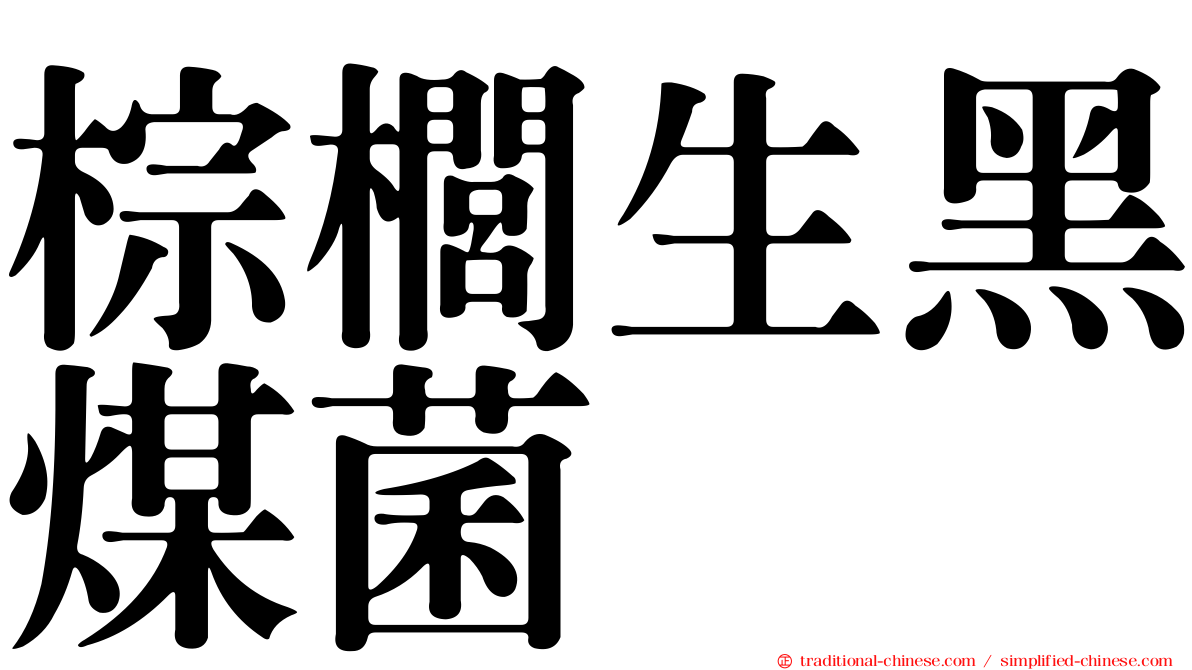 棕櫚生黑煤菌