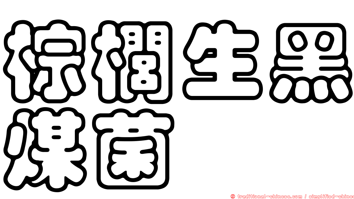 棕櫚生黑煤菌