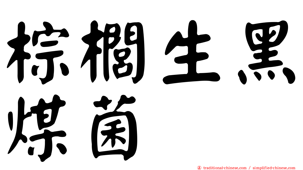 棕櫚生黑煤菌
