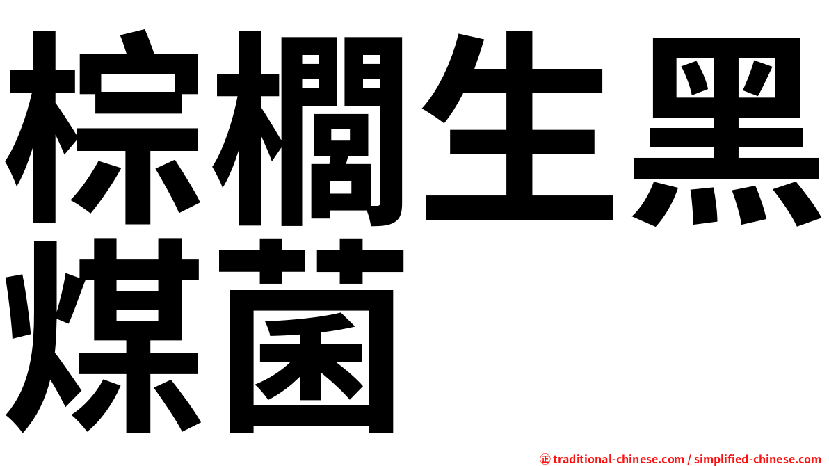 棕櫚生黑煤菌