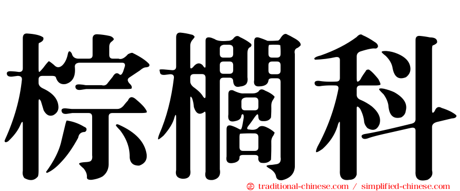 棕櫚科