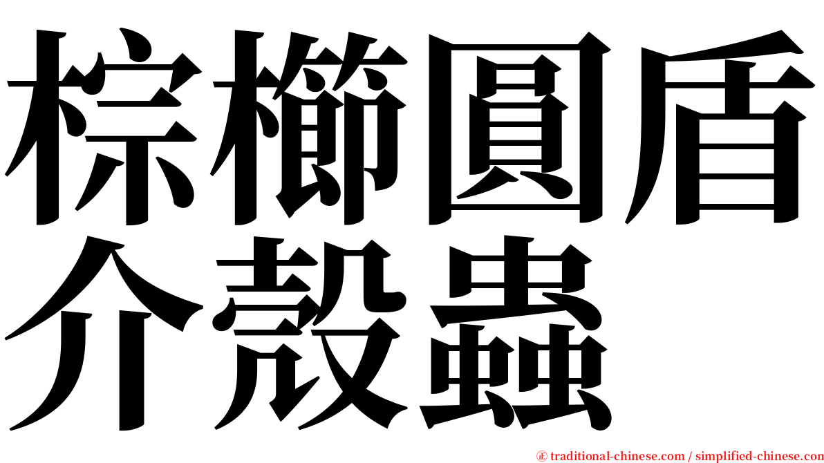 棕櫛圓盾介殼蟲 serif font