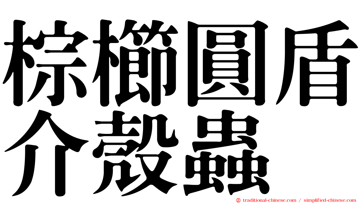 棕櫛圓盾介殼蟲