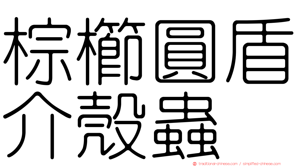 棕櫛圓盾介殼蟲
