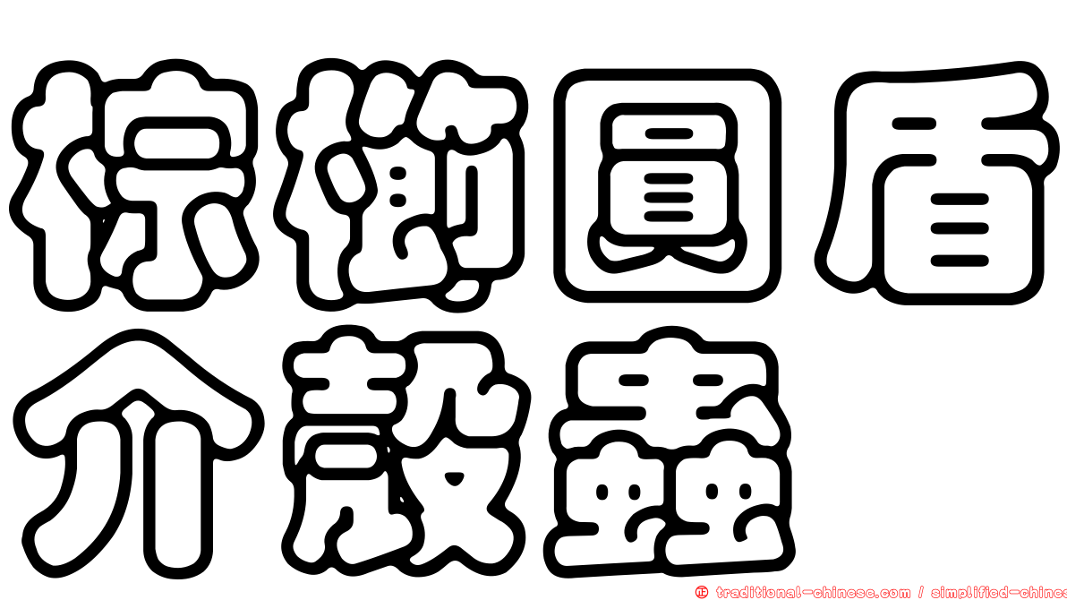 棕櫛圓盾介殼蟲