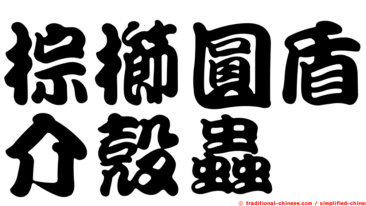 棕櫛圓盾介殼蟲