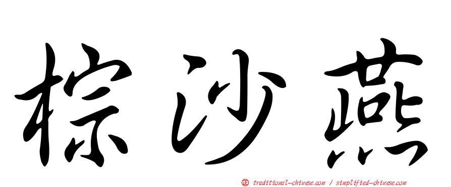 棕沙燕