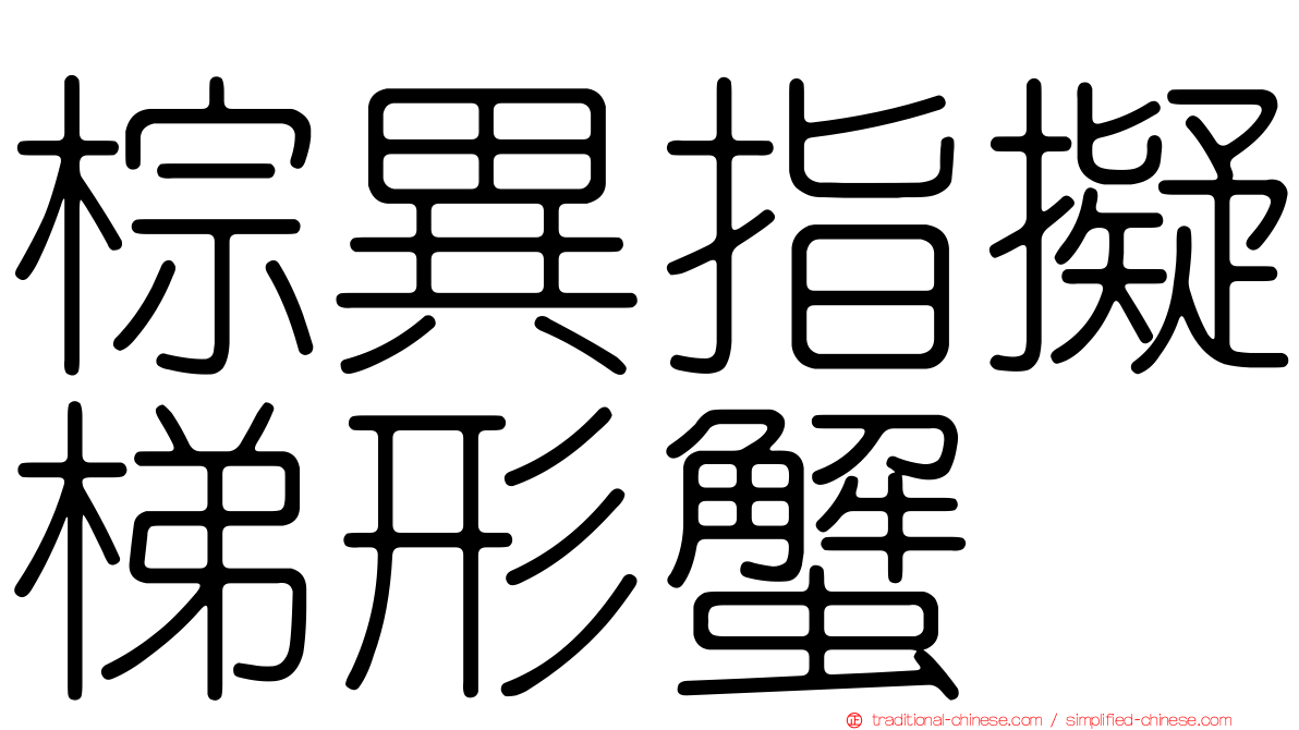棕異指擬梯形蟹