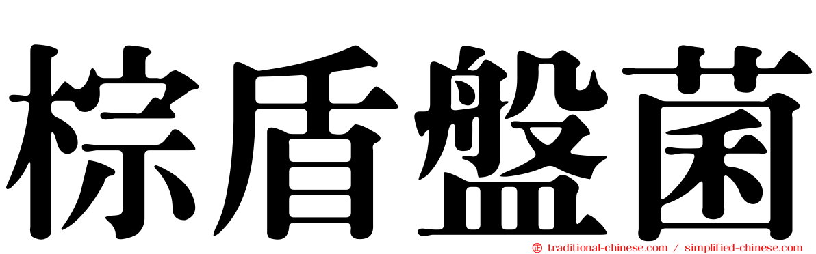 棕盾盤菌