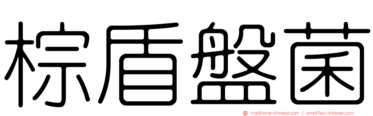 棕盾盤菌