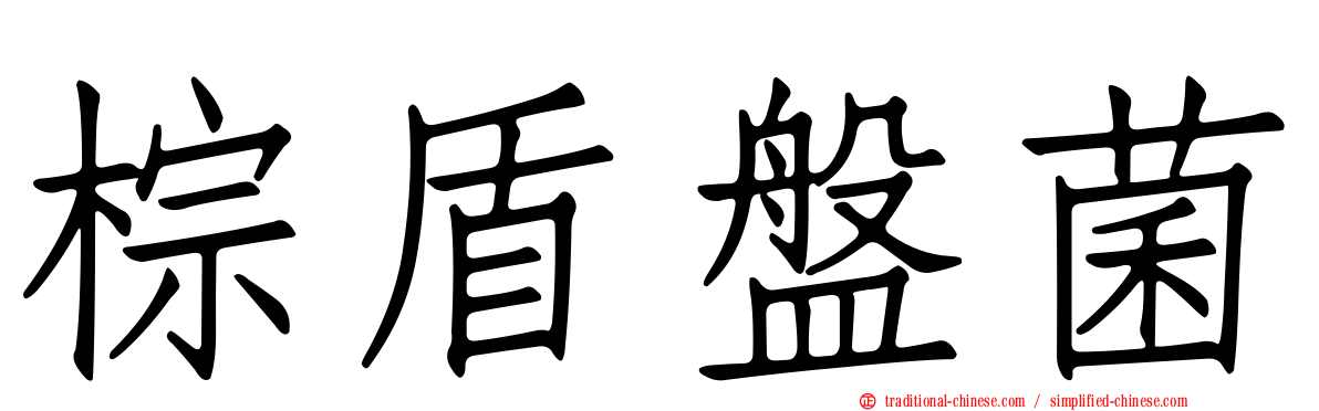 棕盾盤菌