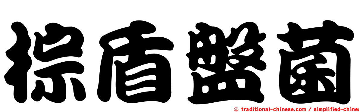 棕盾盤菌